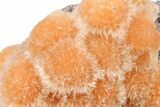 Vibrant Peach Thomsonite on Sparkling Heulandite - India #382311-2